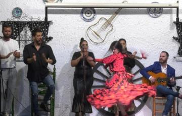 El Ayuntamiento colabora en la digitalización del archivo de la Cátedra de Flamencología de Cádiz.