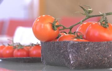 Las algas invasoras se convierten en bandejas para productos de la huerta.