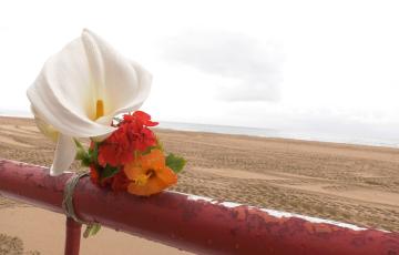 Flores en el lugar donde paraba Carlos, hallado muerto este lune