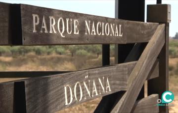 Parque natural de Doñana