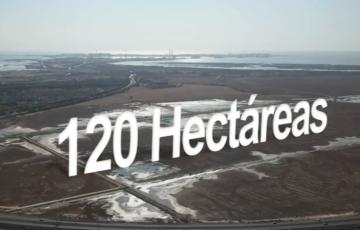 Imagen de los terrenos sobre los que se prevé desarrollar el proyecto Lógica