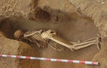 Restos identifcados genéticamente con origen fenicio