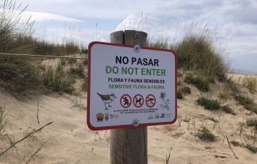 CArtel de balizamiento por presencia de chorlitejos