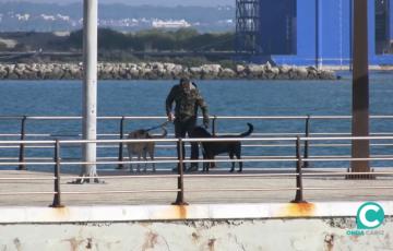 El espacio para la playa para perros está por definiri