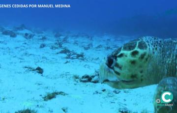 Las Naciones Unidas exigen acciones inmediatas