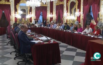 Pleno de la Diputación de Cádiz