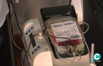 Salud anima a la ciudadanía a que acuda a donar durante el mes de agosto.