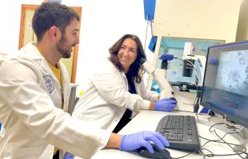 El estudio está centrado en una nueva molécula que promueve la formación de nuevas neuronas en regiones cerebrales implicadas en el aprendizaje y la memoria, mejorando estas funciones.