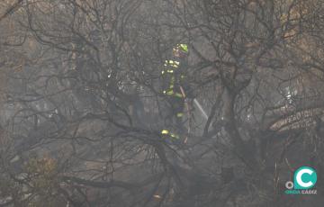 Efectivos del Consorcio Provincial de Bomberos intentando sofocar el incendio.