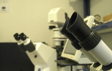 Sello de calidad para un proyecto gaditano sobre el uso de compuestos de origen marino en la salud