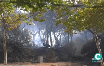 Las Canteras es aún la zona más afectada