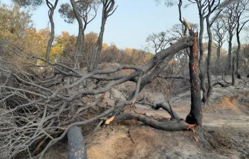 Imagen de las Canteras