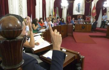 Sesión ordinaria del pleno 