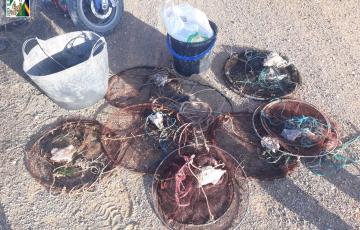 También han intervenido 13 masas y dos capazos. 