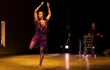 Imagen de Disappearing Act