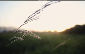 Un documental del Colectivo Archipiélago.
