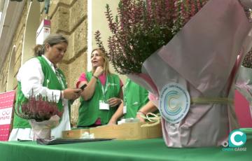 La AECC ha vendido macetas en colaboración con CCA para recaudar fondos 