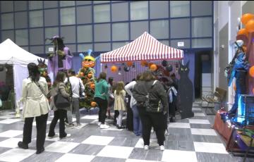 El Ayuntamiento ha organizado este evento pensando en todos los públicos