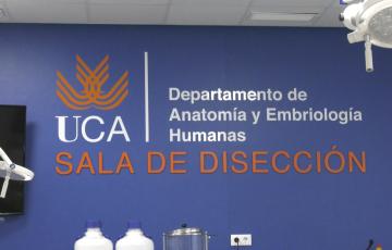 Los cuerpos humanos son material esencial, imprescindible e insustituible en la Facultad de Medicina