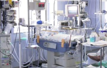 La Fundación Alicia Koplowitz premia una investigación de Neuropediatría del INIBICA