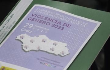 El sistema de sanitario analiza la situación de la violencia de género en la provincia.