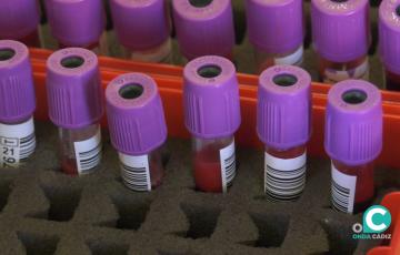 Hacen falta sangre de todos los tipos.