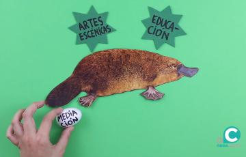 Campaña 'Proyecto Ornitorrinco'.