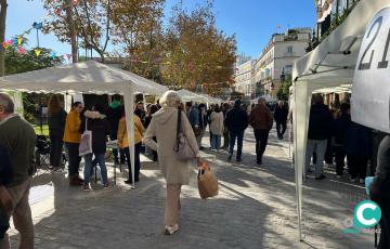Jornada de actividades por el Día Internacional de la Discapacidad 