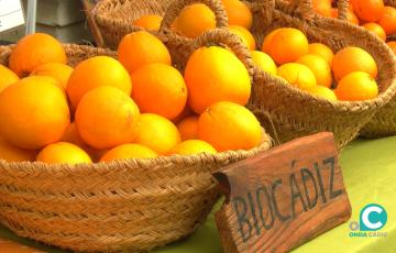 El Ecomercado vuelve a instalarse en Plaza Mina. 