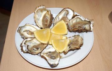 Gaditanos y visitantes podrán degustar hasta 5.000 ostiones.