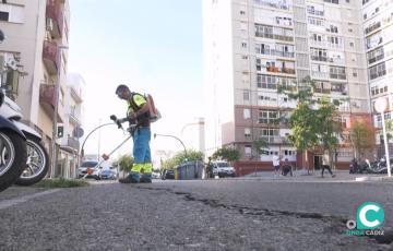 Operario realizando labores de limpieza en Cádiz. 