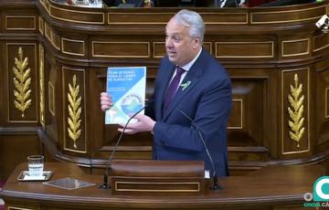 El diputado socialista, Juan Carlos Ruiz Boix, en el Pleno del Congreso. 