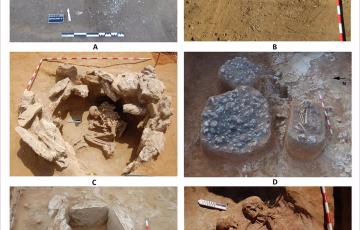 Imágenes del yacimiento de Campo de Hockey en San Fernando