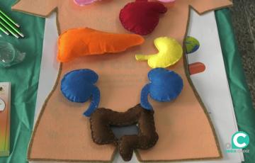 Detalle de uno de los mostradores situados en el Puerta del Mar por el día de la Salud Renal.