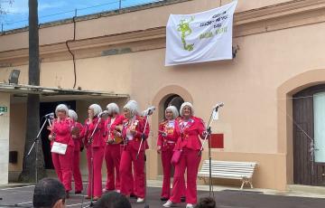 V edición del festival de agrupaciones callejeras