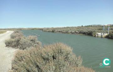 Esteros en el parque natural de la Bahía de Cádiz