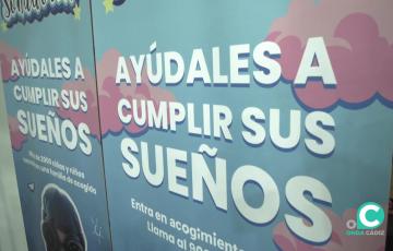 Detalles de la nueva campaña de acogimiento de menores presentada este martes