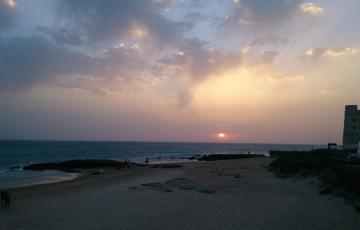  Imagen de archivo la playa de El Palmar en Vejer