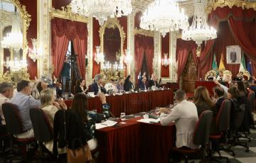 Un momento de la sesión celebrada en el Palacio provincial.