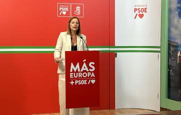 La diputada provincial del PSOE Ana Carrera, en rueda de prensa. 