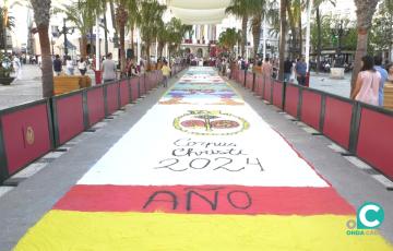 Un grupo de jóvenes cofrades preparan la alfombra desde primera hora de la mañana en San Juan de Dios. 