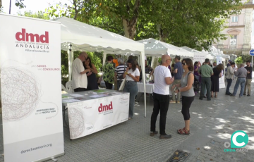 El recinto acoge distintos mostradores y espacios informativos relativos a la salud y el bienestar