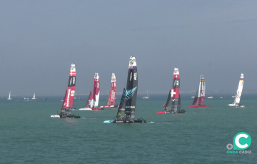 El espectaculo deportivo de los rapidos veleros sobre las aguas de la Bahía regresarán de nuevo