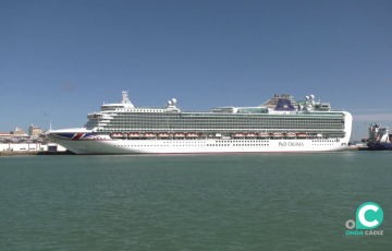 Detalle de uno de los translánticos arribados este miércoles en el puerto gaditano