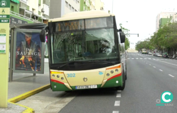 Una de las paradas del servicio plaza de España-Cortadura en plena Avenida.