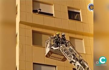 Bomberos rescatando a un perro en la calle Caracolas. 