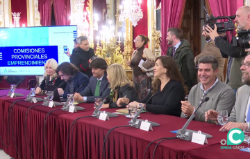 Un momento del acto en la Diputación Provincial de Cádiz