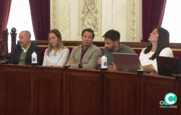 El portavoz municipal de AIG durante una intervención en un pleno municipal