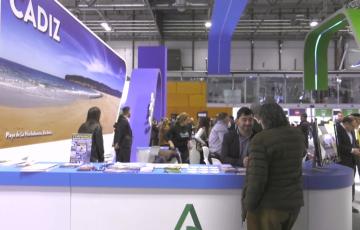 Mostrador de la capital gaditana en pasadas ediciones 