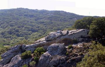 El entorno de la zona del campo de Gibraltar donde se adscribe el yacimiento